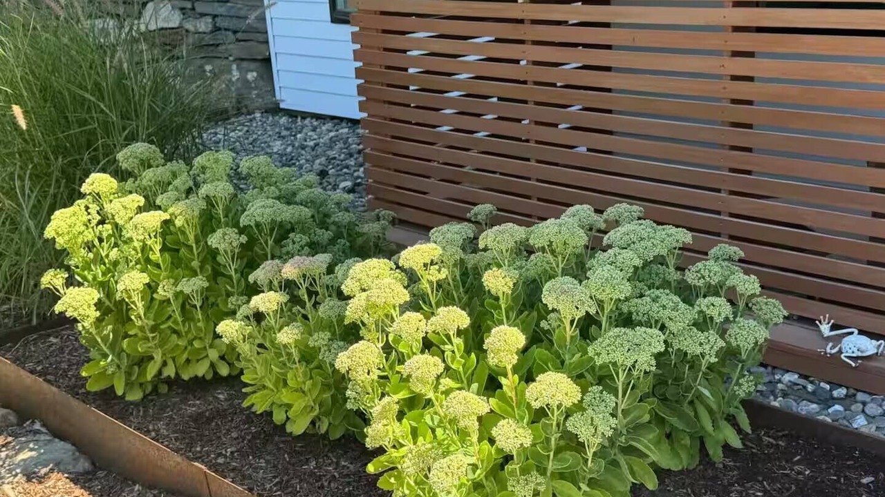 Photo of Outdoor in Hanover