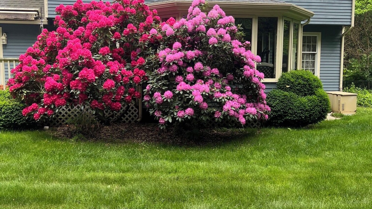 Photo of Outdoor in Hampton