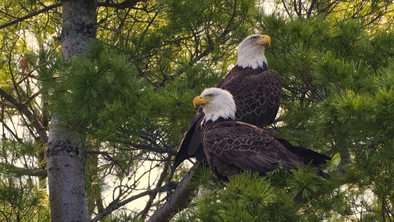 Photo of Others in New Gloucester
