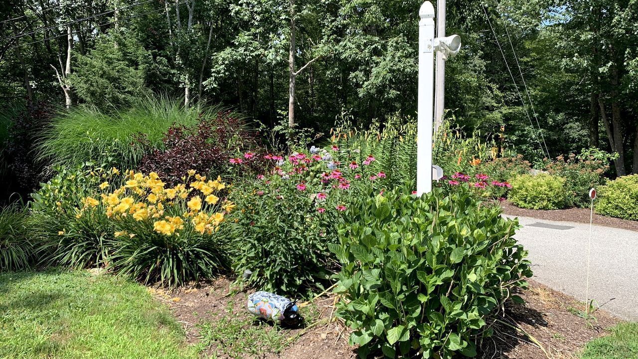 Photo of Outdoor in Old Mystic
