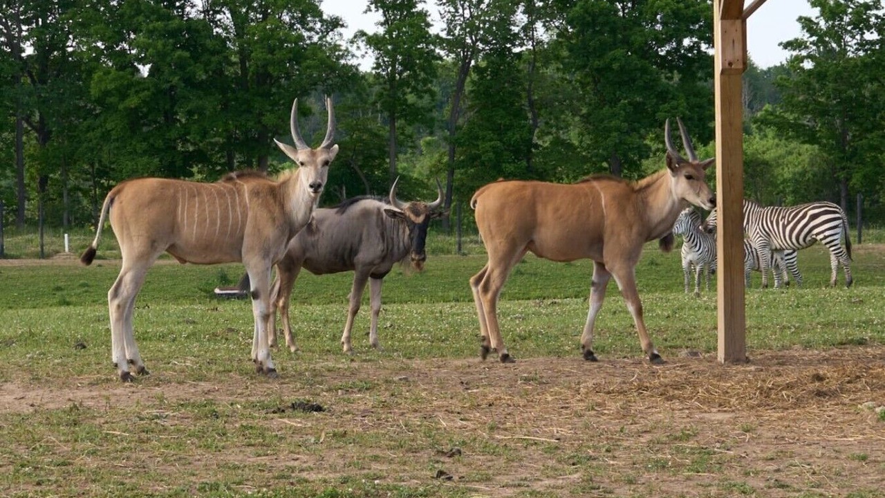 Photo of Others in Town of Sullivan