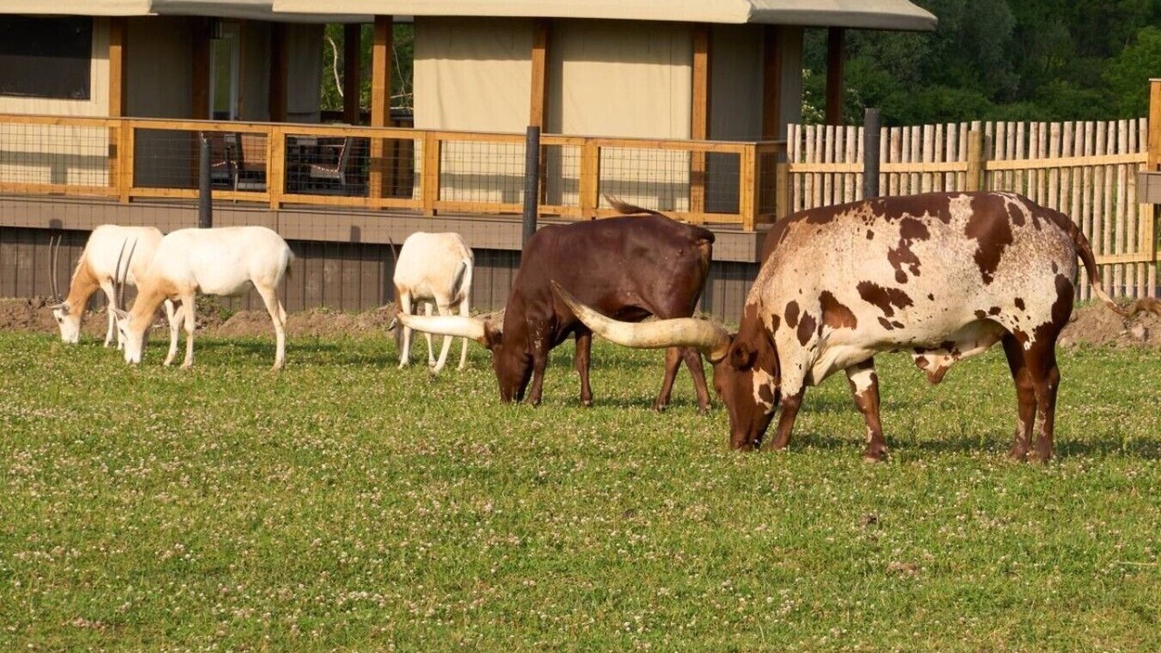 Photo of Others in Town of Sullivan