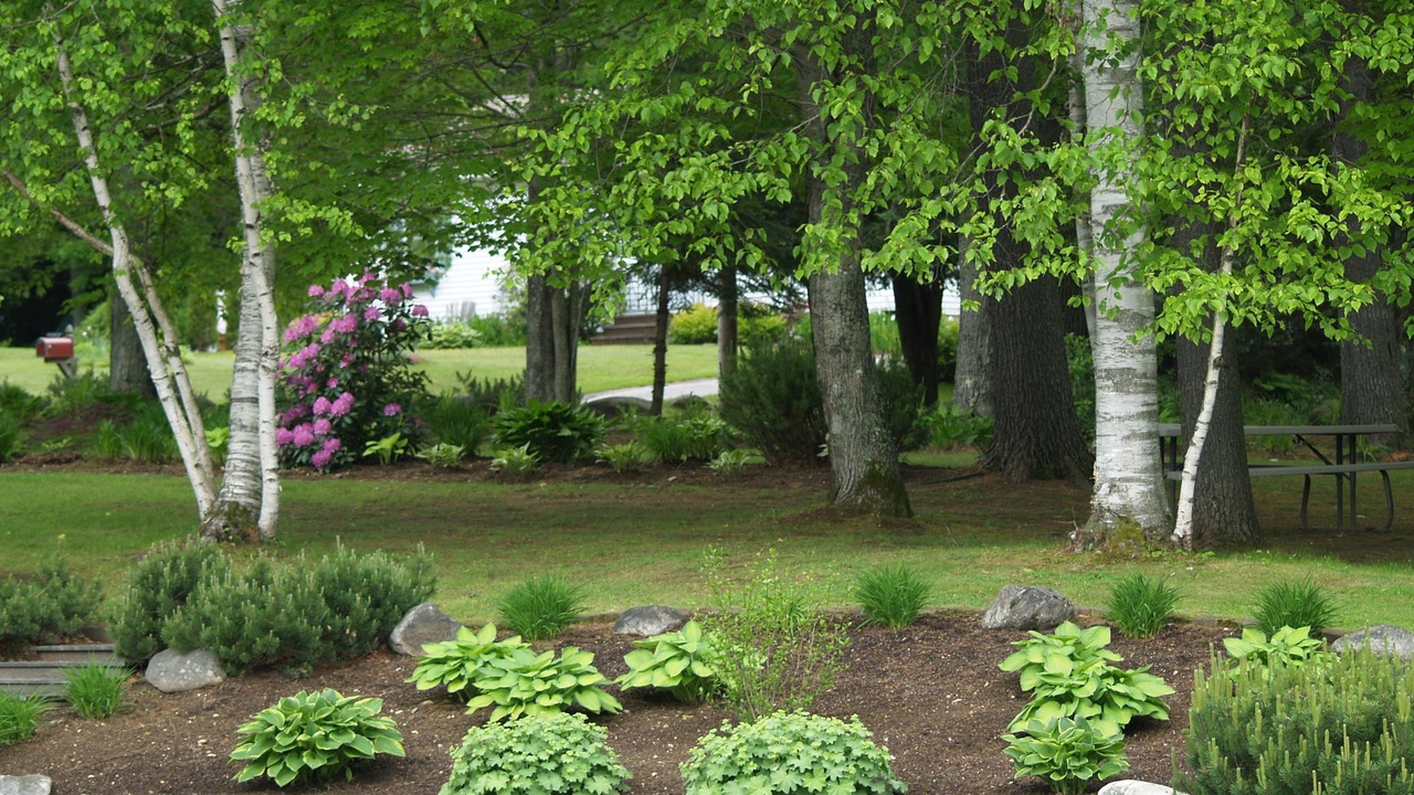 Photo of Outdoor in Dryden