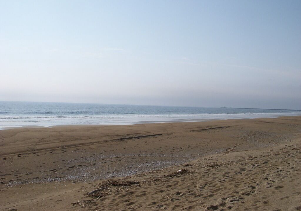 Photo of Others in Salisbury Beach