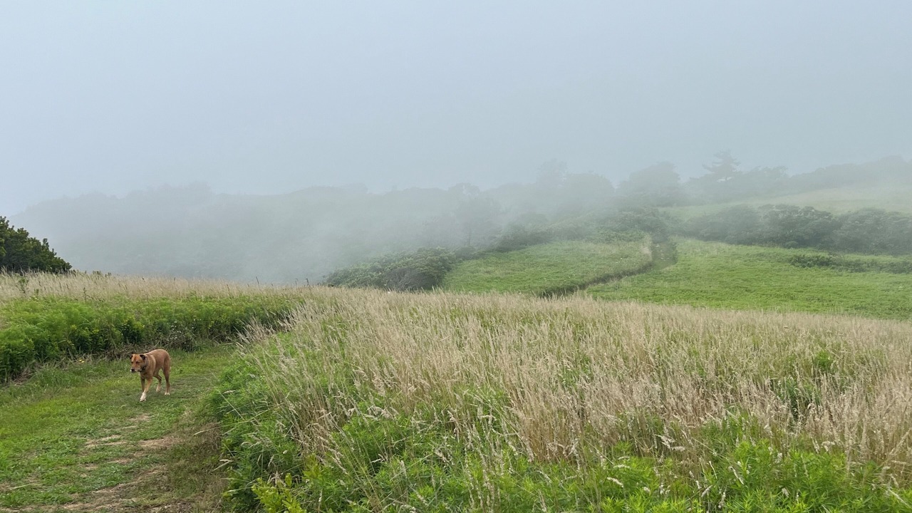Photo of Others in Block Island