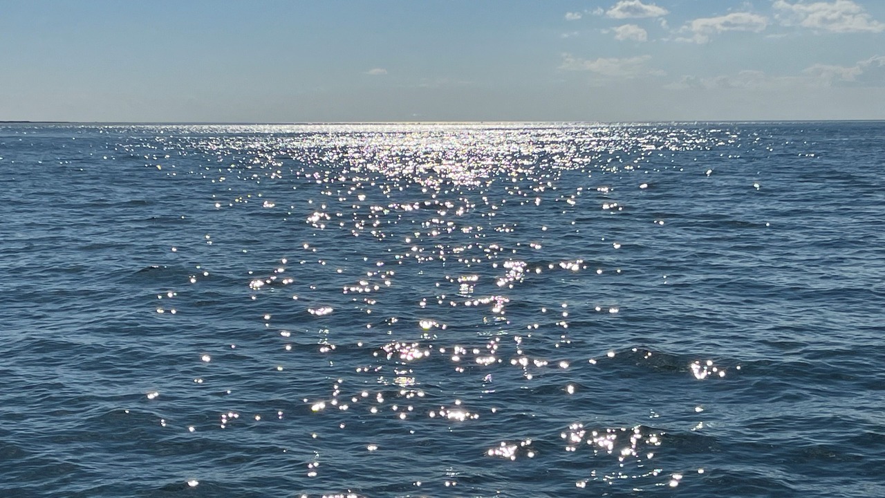 Photo of Others in Block Island
