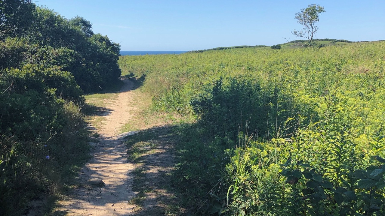 Photo of Others in Block Island