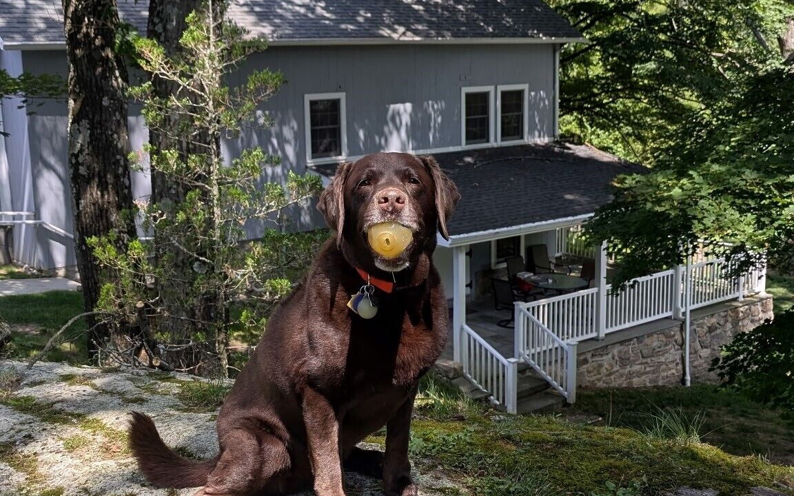 Photo of Others in New Canaan