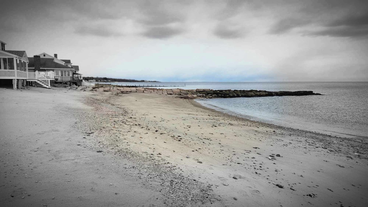 Photo of Others in Old Lyme