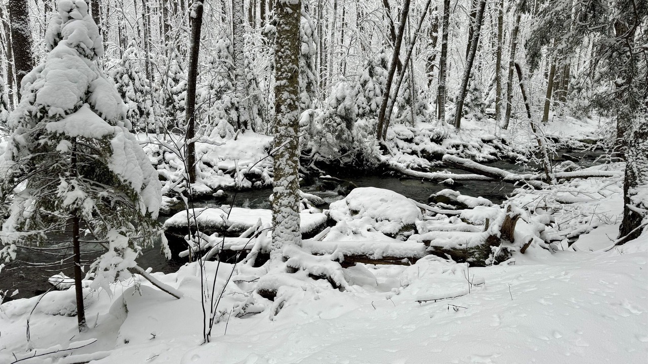 Photo of Others in Edgewood