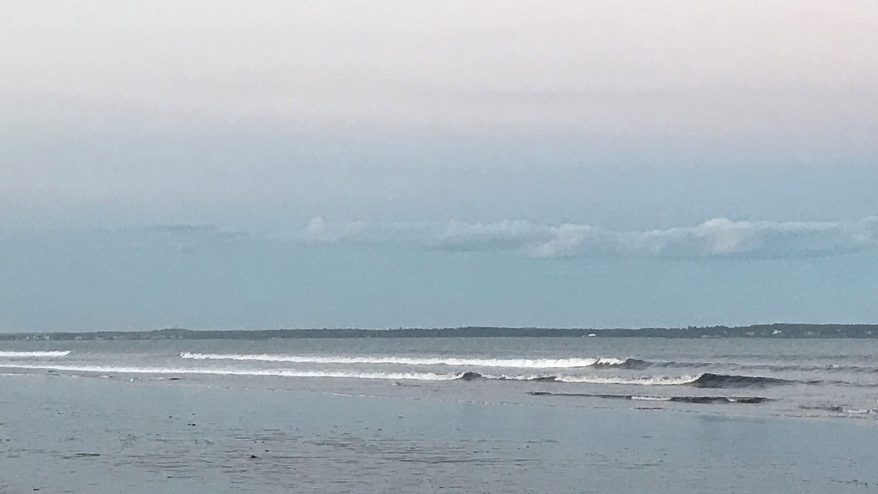 Photo of Others in Ocean Park