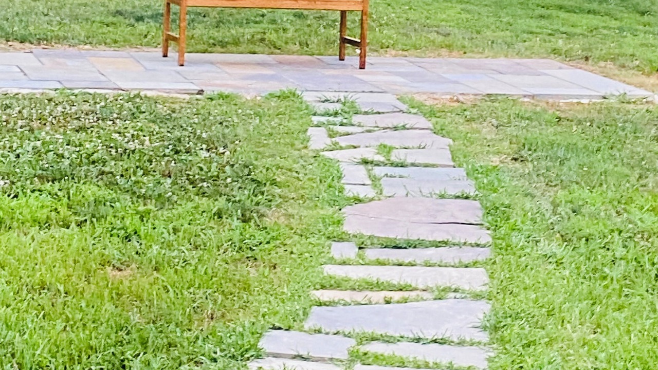 Photo of Outdoor in Crown Heights