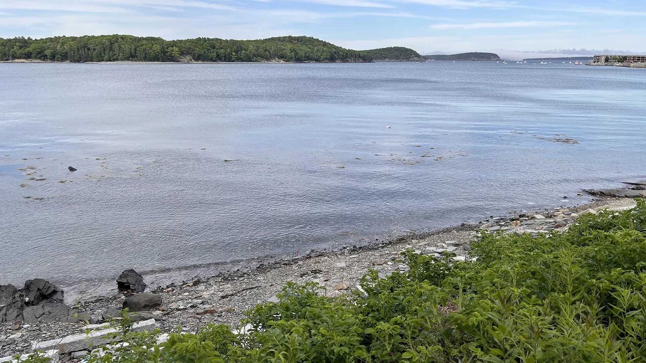Photo of Others in Bar Harbor
