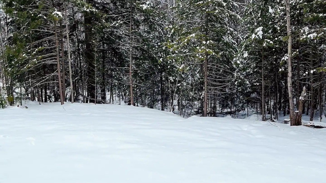 Photo of Others in Sunapee
