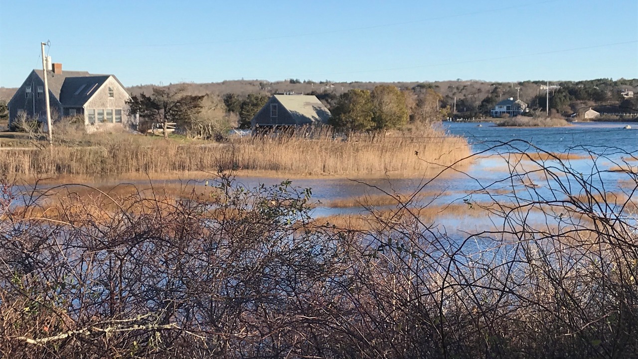 Photo of Bedroom in Chilmark