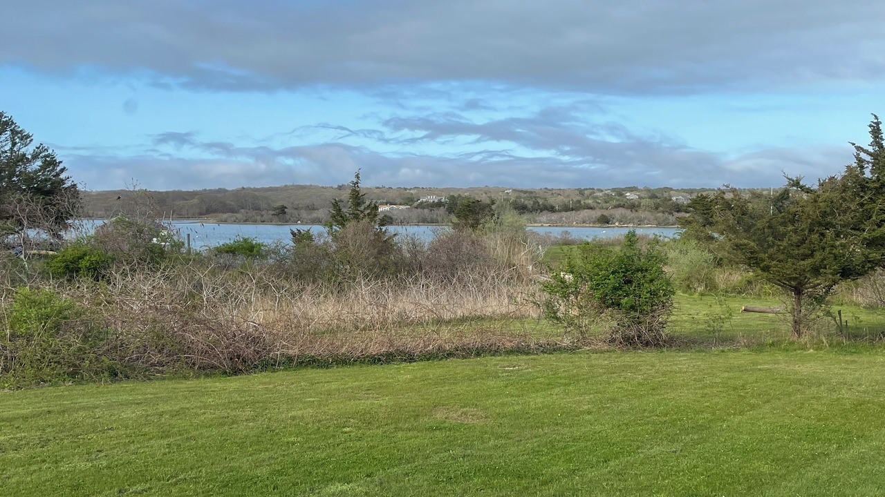 Photo of Outdoor in Chilmark