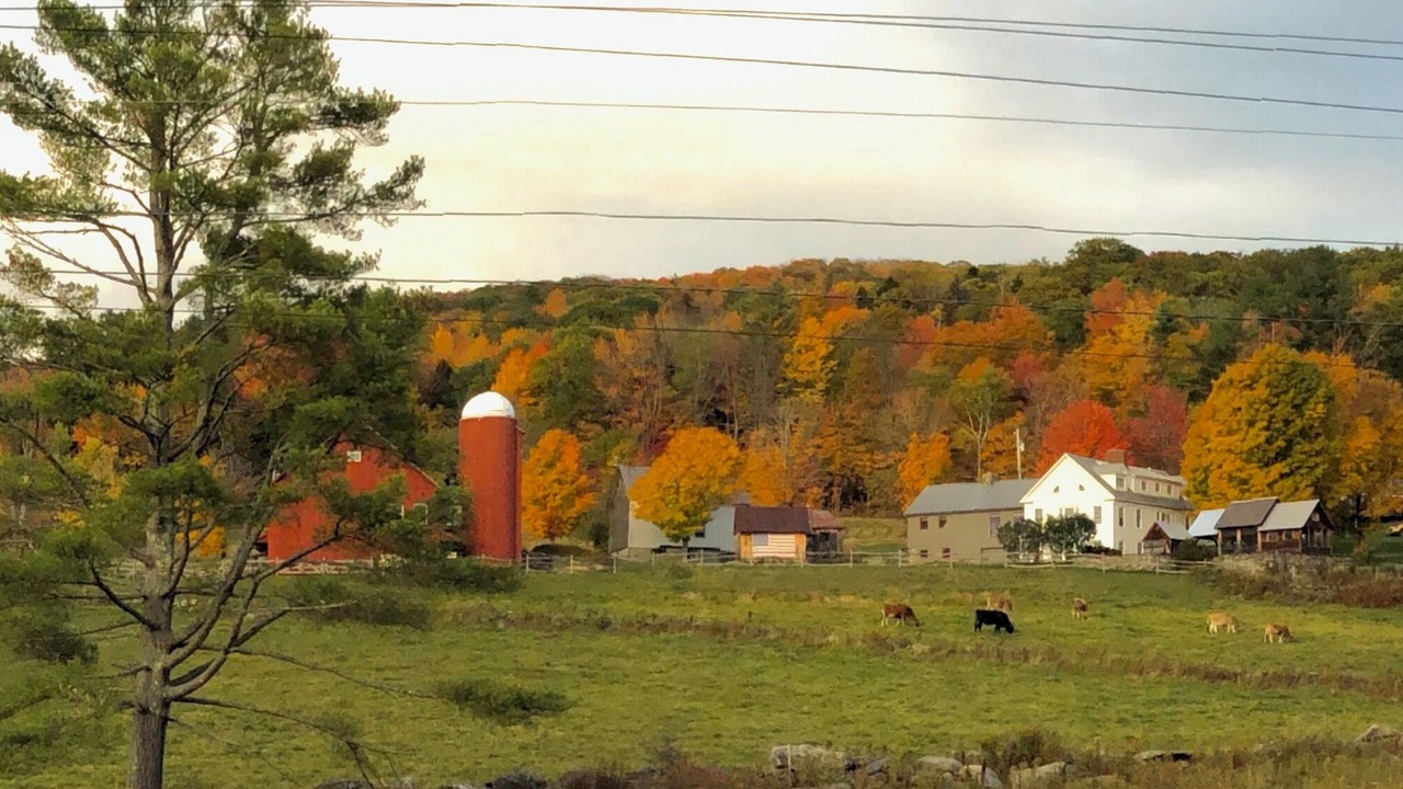 Photo of Others in Ludlow