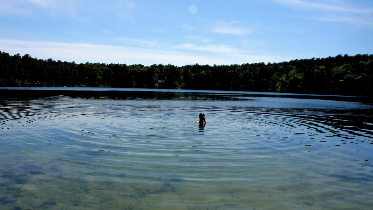 Photo of Others in Wellfleet