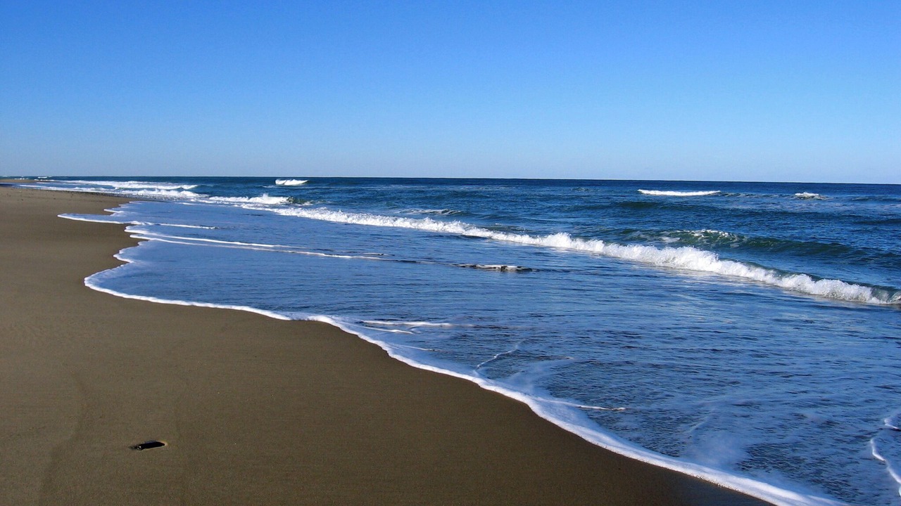 Photo of Others in Wellfleet