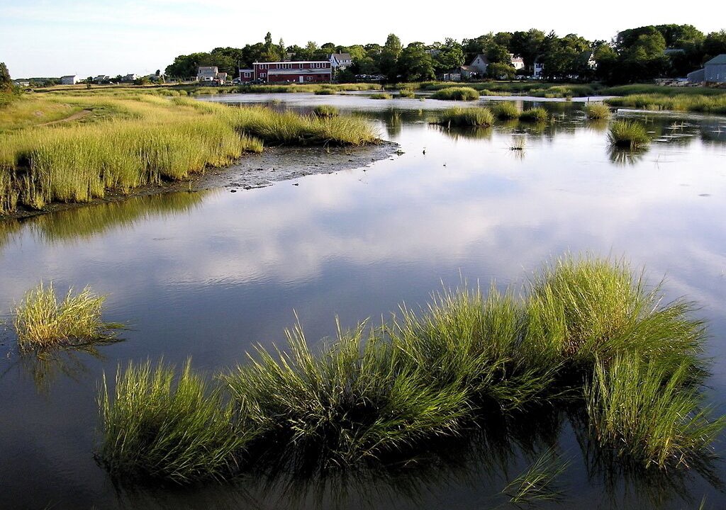 Photo of Others in Wellfleet