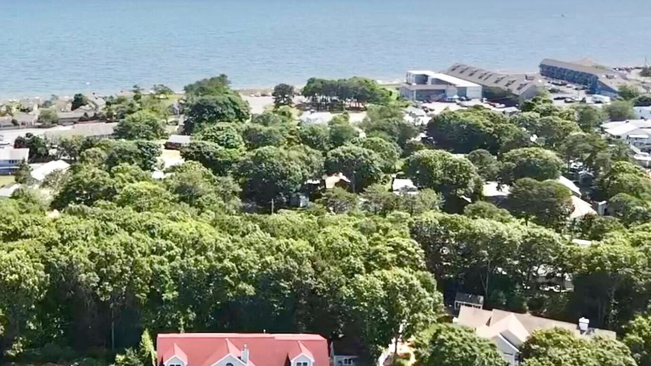 Photo of Others in South Yarmouth
