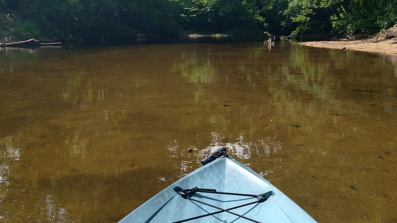 Photo of Others in West Ossipee