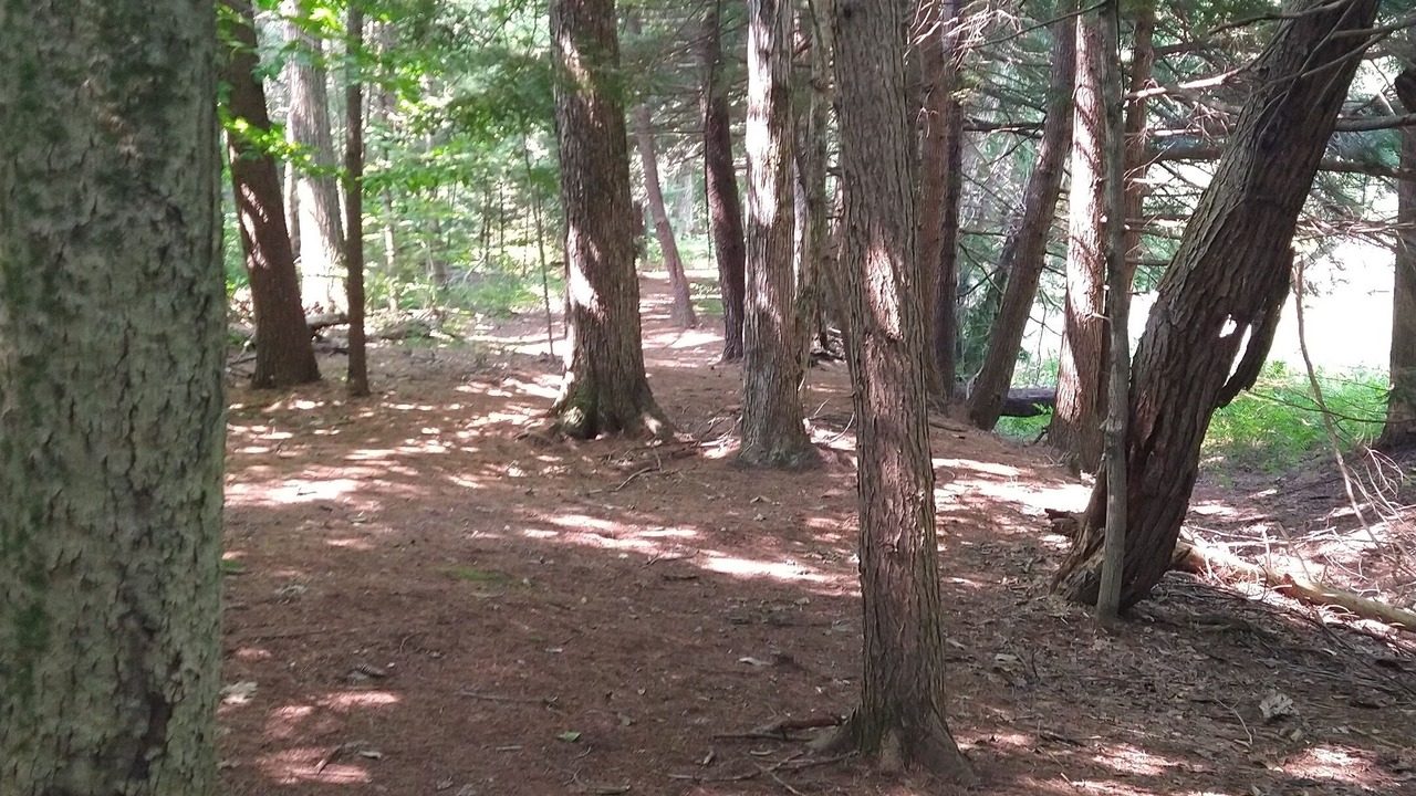 Photo of Outdoor in West Ossipee