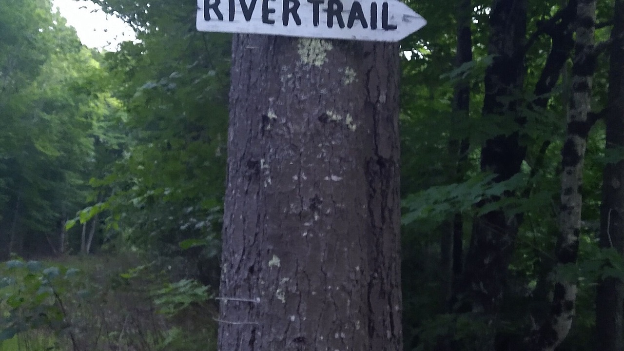 Photo of Outdoor in West Ossipee