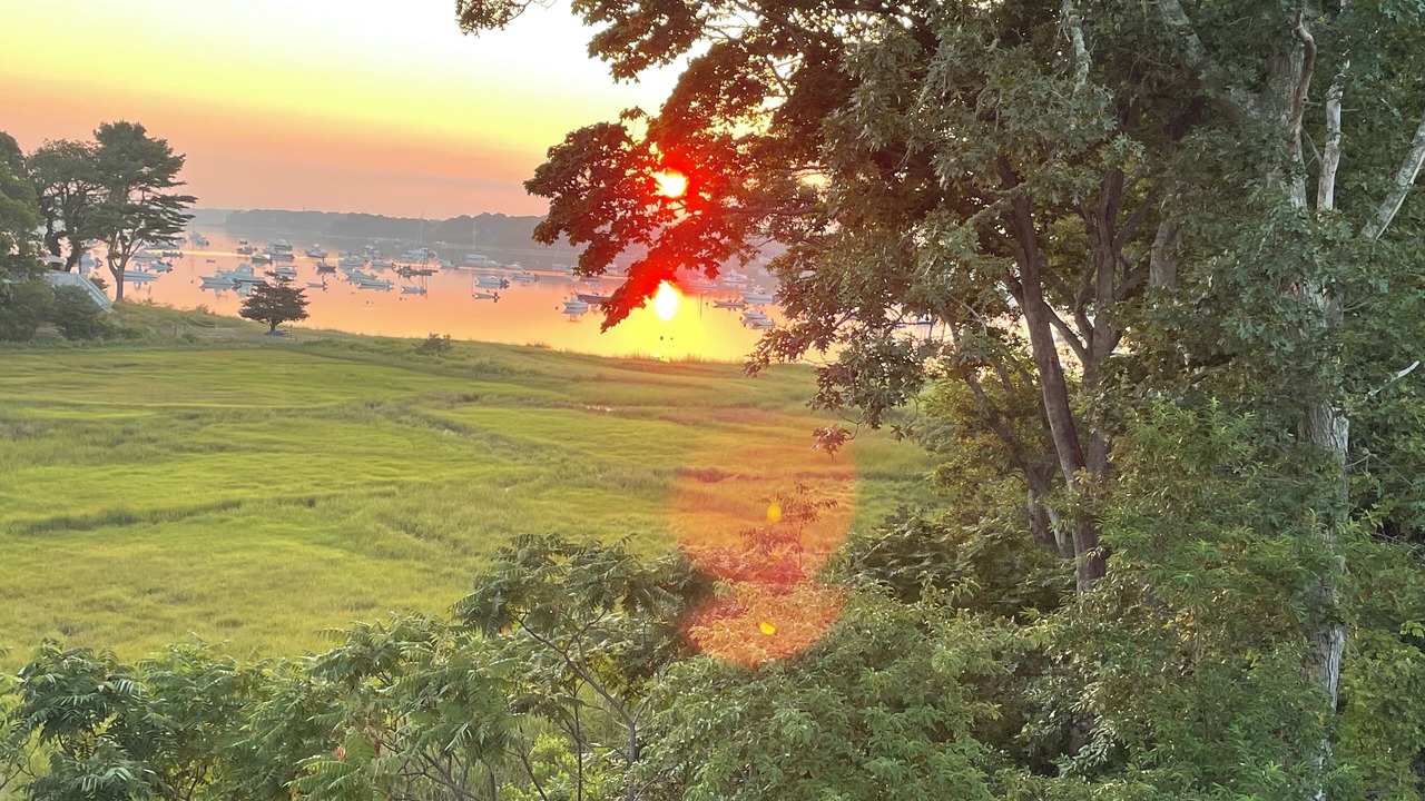 Photo of Others in Cotuit