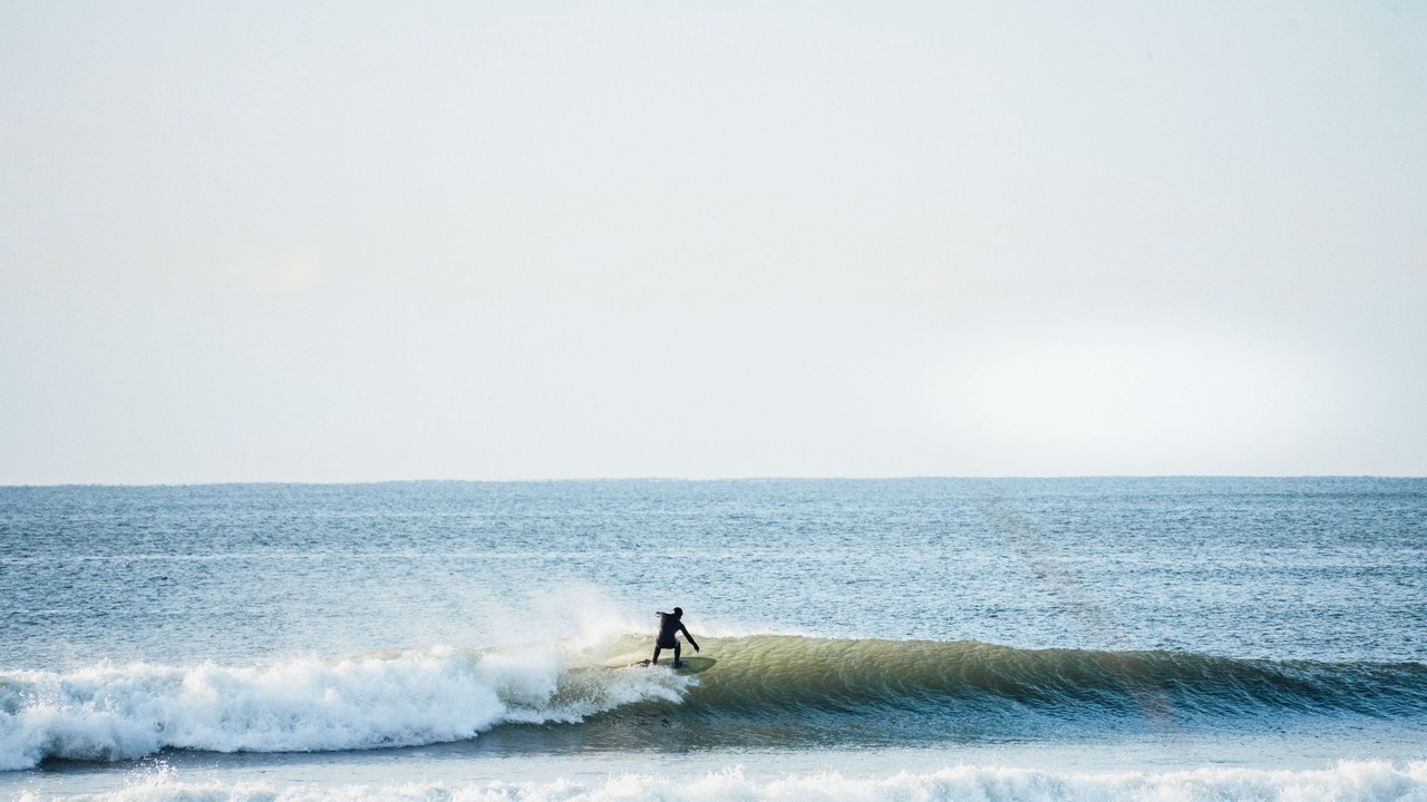 Photo of Others in Westerly