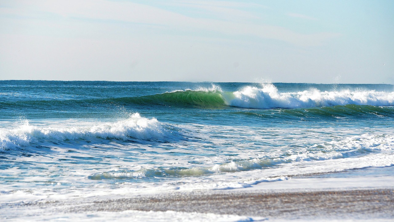 Photo of Others in Westerly