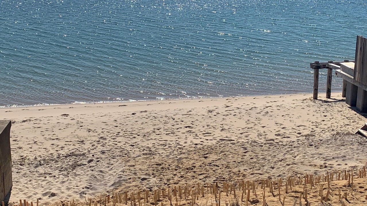 Photo of Others in Provincetown