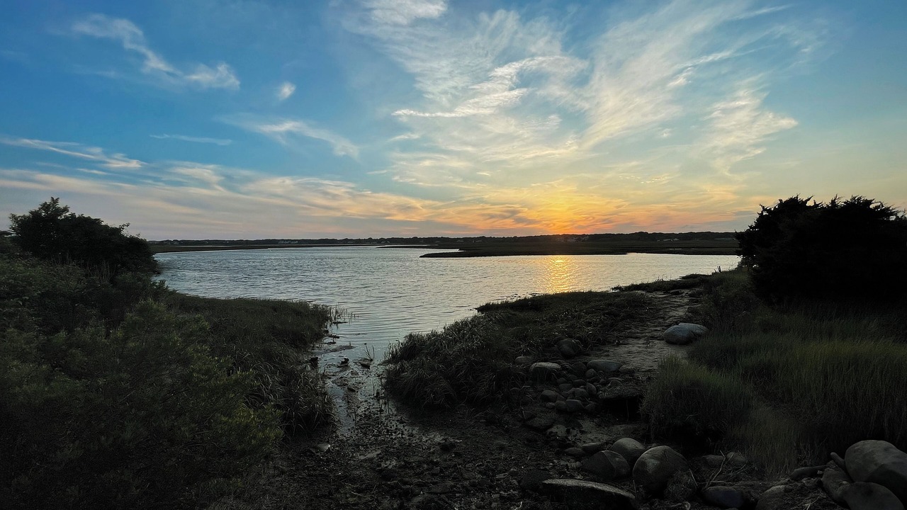Photo of Others in South Yarmouth