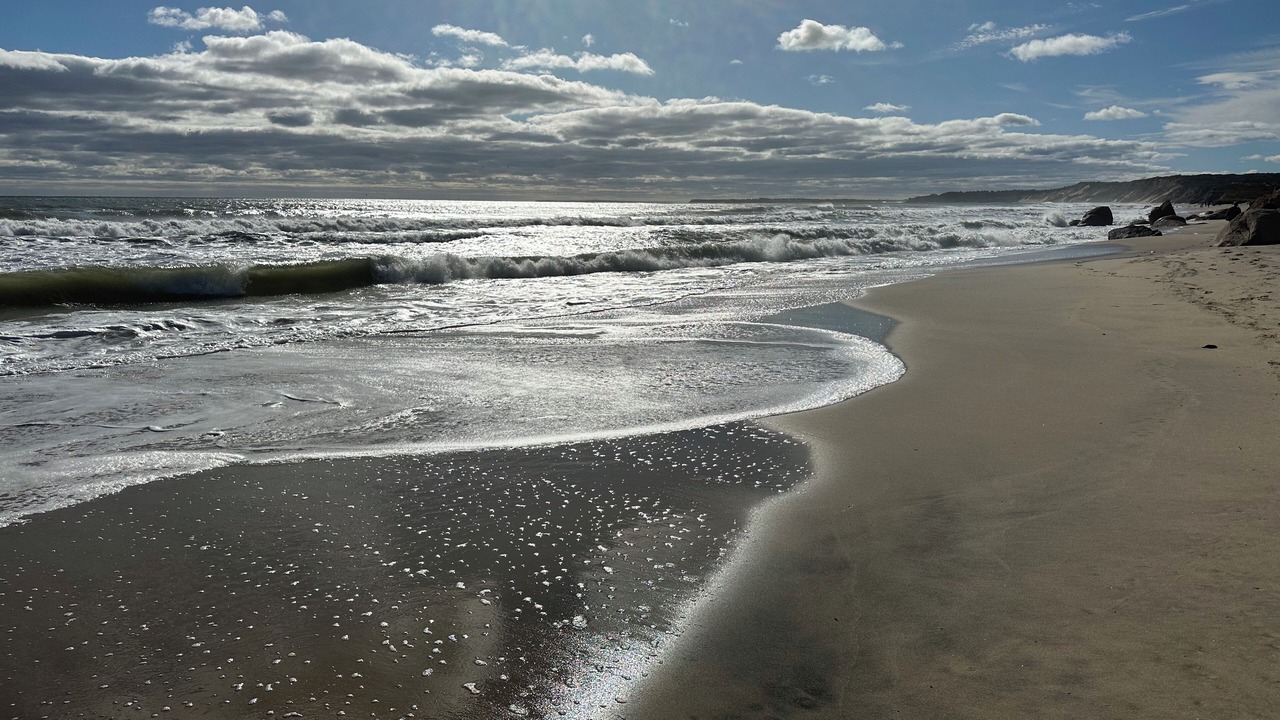 Photo of Others in Chilmark