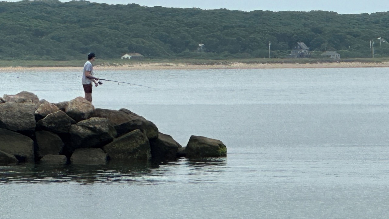 Photo of Others in Chilmark