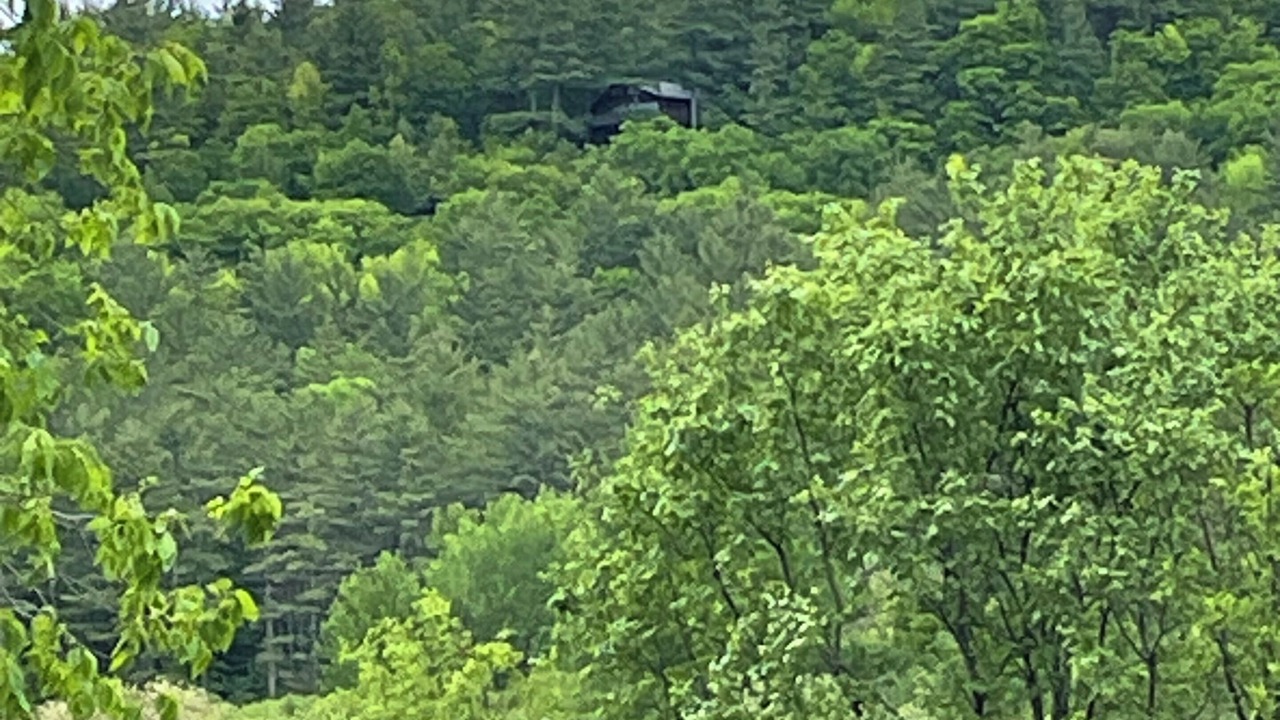 Photo of Others in Keene