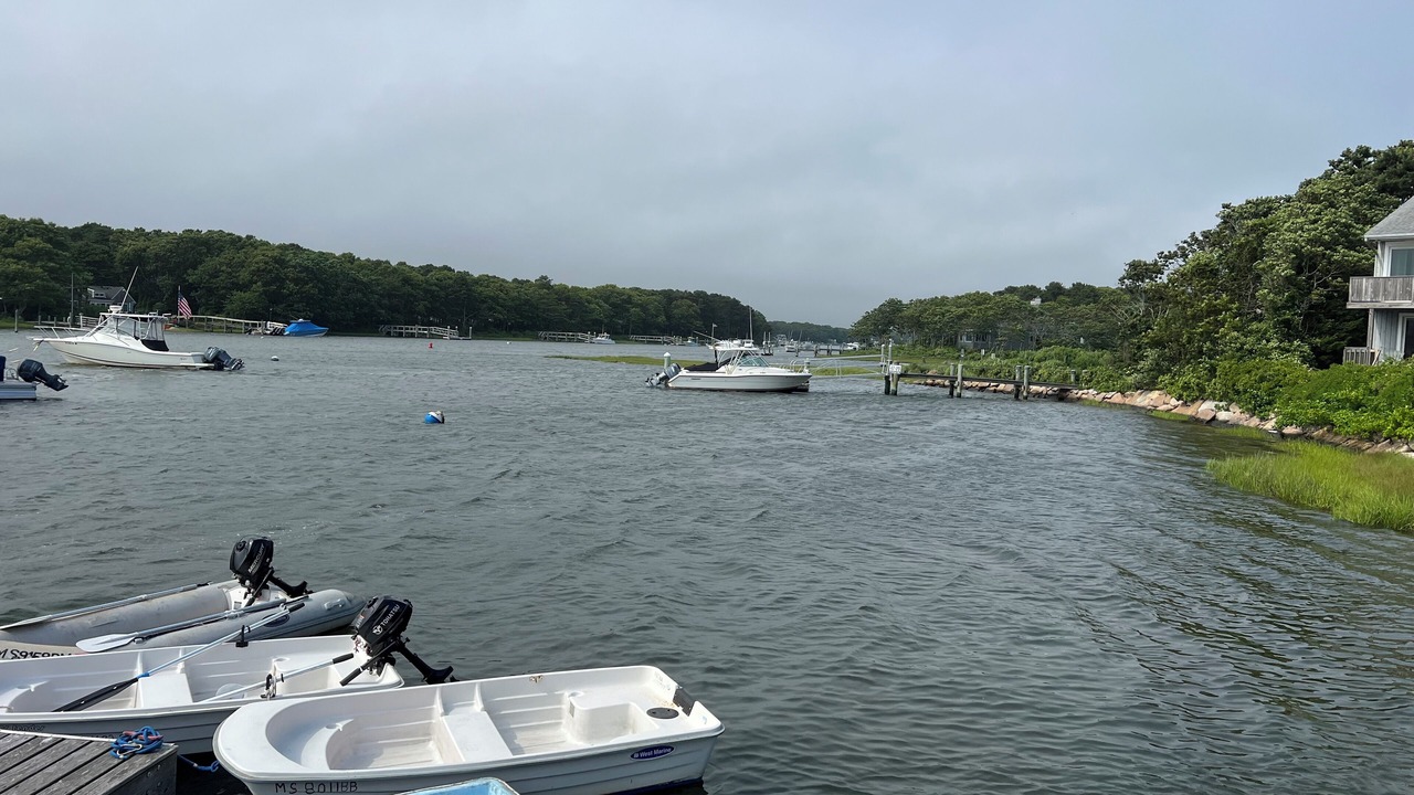 Photo of Others in Little Neck Bay