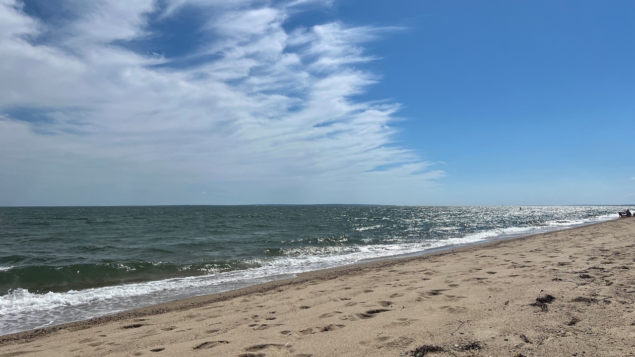 Photo of Others in Little Neck Bay