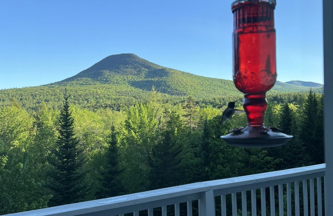 Photo of Outdoor in Jackson