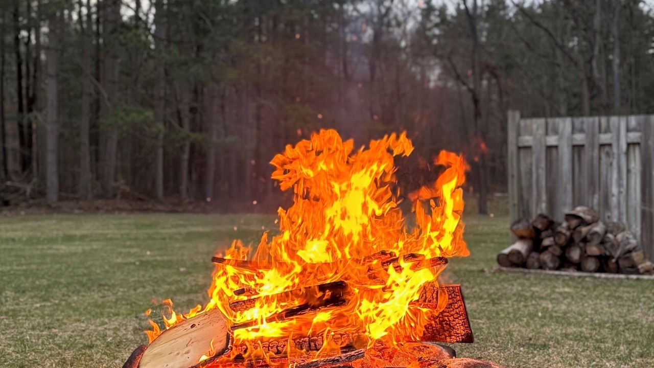 Photo of Outdoor in Turkey Point