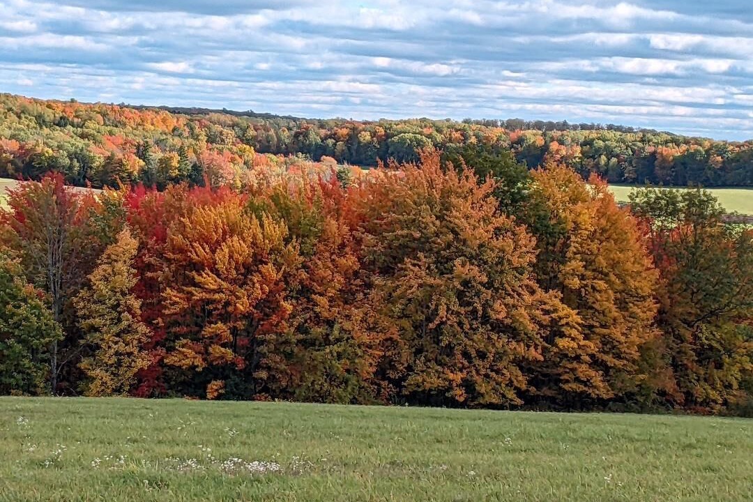 Photo of Outdoor in Cameron