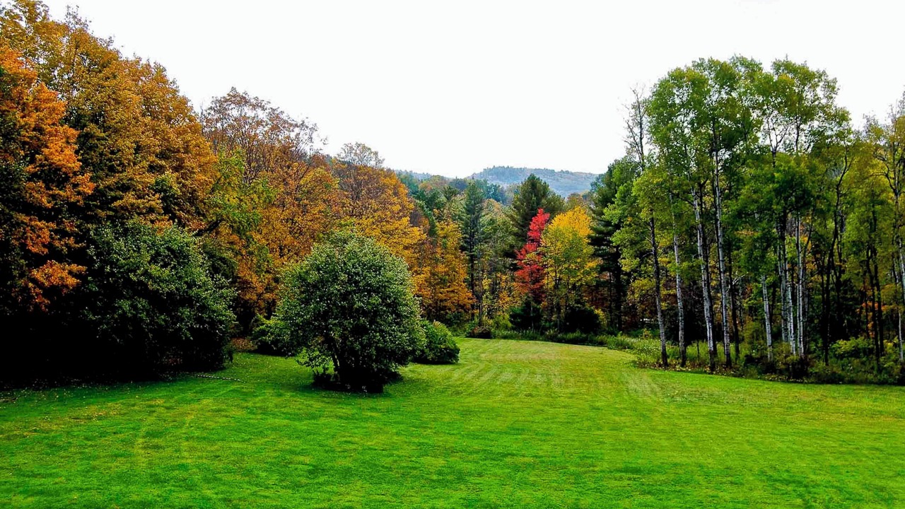Photo of Outdoor in Richmond