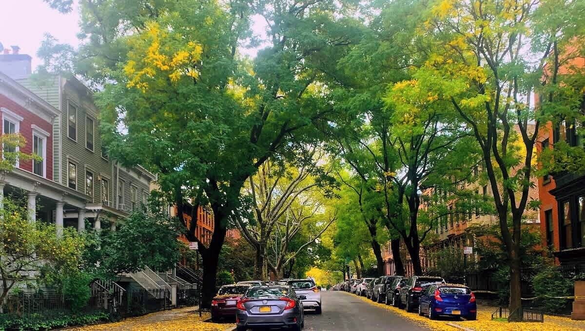 Photo of Others in Clinton Hill