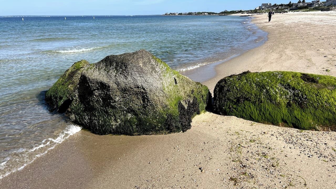 Photo of Others in East Falmouth