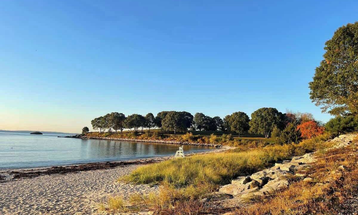 Photo of Others in Niantic