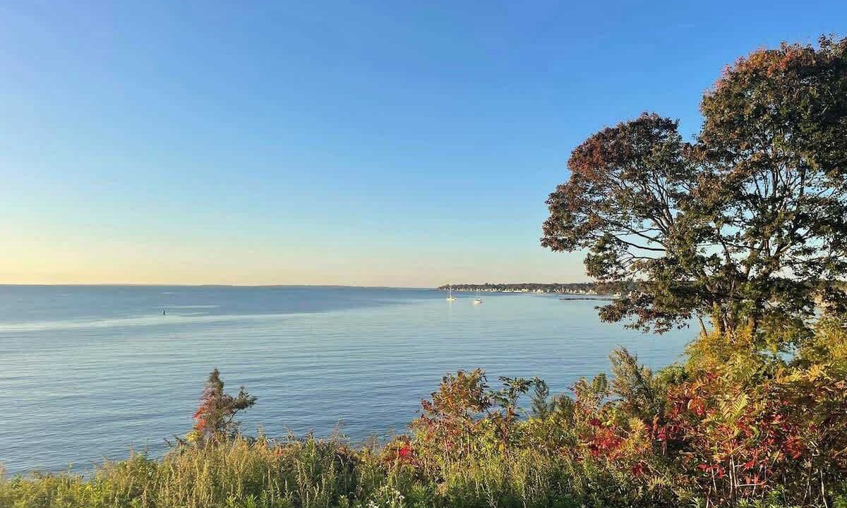 Photo of Others in Niantic