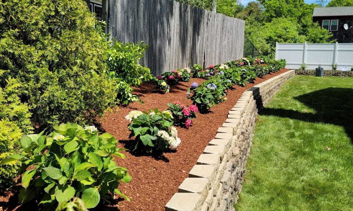 Photo of Outdoor in Mashpee