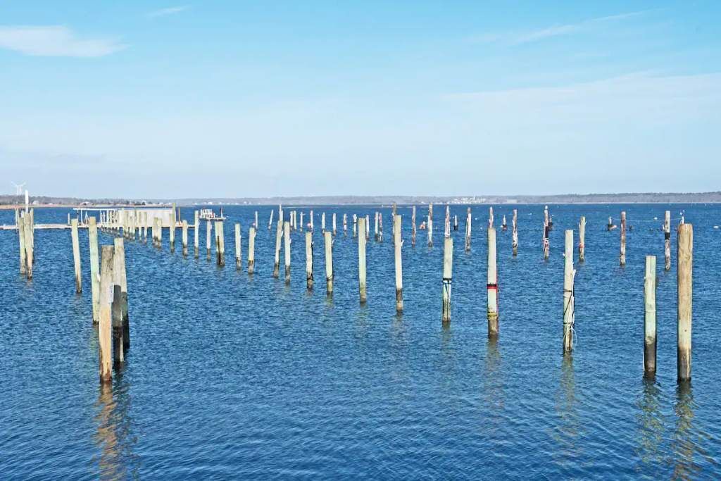 Photo of Others in Fairhaven
