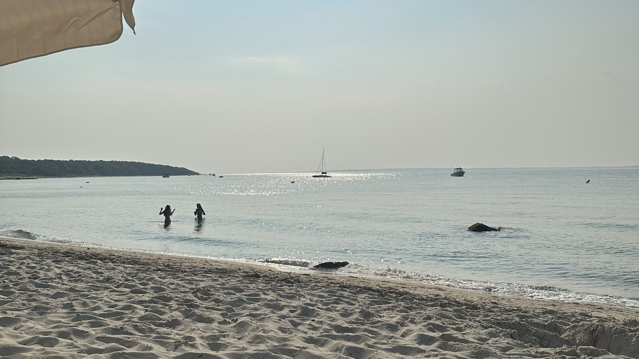 Photo of Others in West Tisbury