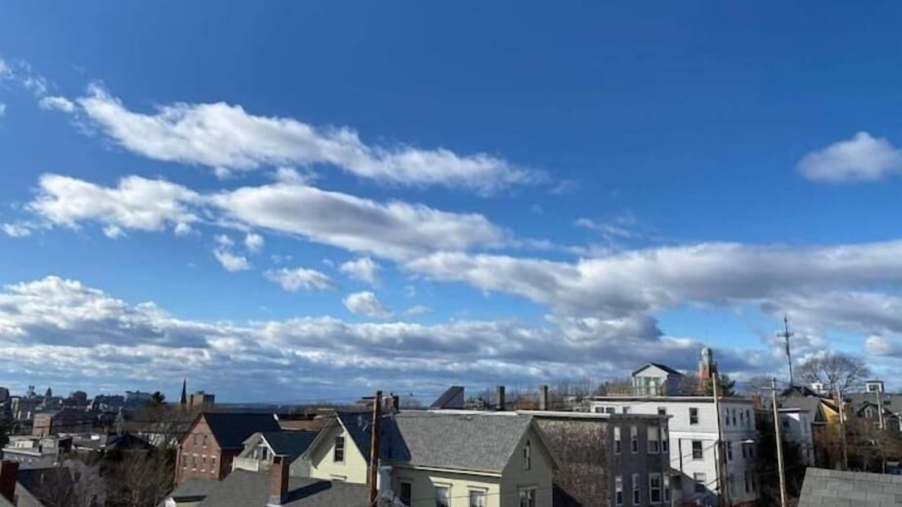 Photo of Others in Munjoy Hill